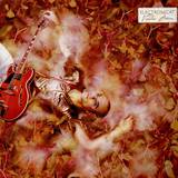 Electronicat - Voodoo Man 2x12"