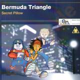 Bermuda Triangle - Secret Pillow