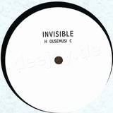 Invisible - Housemusic