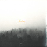 DESOLATE - EXCEPTIONALISM 2x12"