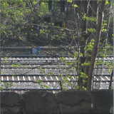 Lucy Railton - 5 S-Bahn