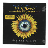 PINK FLOYD  FEATURING ANDRIY KHLYVNYUK - ‘HEY HEY RISE UP’