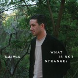TASHI WADA - WHAT IS NOT STRANGE? LP