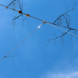 MANUEL TROLLER - HALCYON FUTURE