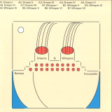 Bartosz Kruczyński - Dreams & Whispers LP