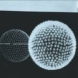 Linkwood - Expressions