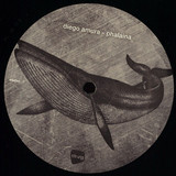 Diego Amura - Phalaina