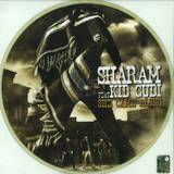 Sharam Feat. Kid Cudi - She Came Along *picture*