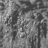 Fede Lijtmaer - Forever... But Now EP