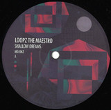LoopZ the Maestro - Shallow Dreams