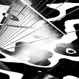 Froses - Whats Your Colour?