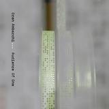 Oren Ambarchi - Audience Of One