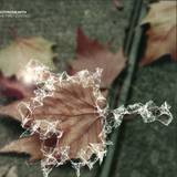 Notfromearth - The First Contact