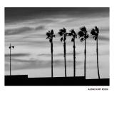 ALONE IN MY ROOM - II LP