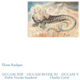Éliane Radigue - Occam XIII, Occam River XI, Occam V (2x12")