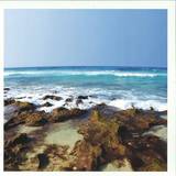 Marquis Hawkes - Fifty Fathoms Deep