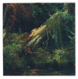 Elysia Crampton - Moth / Lake