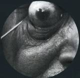 Unknown - Ritual Malmö 01