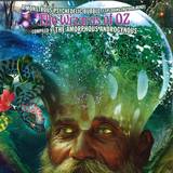Amorphous Androgynous - A Monstrous Psychedelic Bubble / The Wizards Of Oz