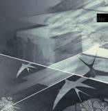 Adrian Niculae - Atipic001