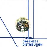 Gigi Testa Meets Joi Cardwell - Dream On