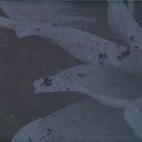 Primal Code - Konstrukt 008