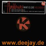 Haddaway - What Is Love 2003