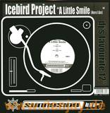 Icebird Project - A Little Smile