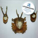 Lützenkirchen - Bavarian Experience Ep