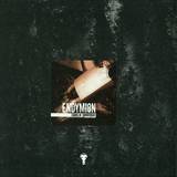 Endymion - Chains Of Commitment