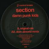 Section - Damn Punk Kids