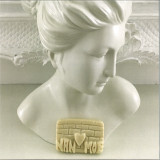 THE DSM IV - NEW AGE PARANOIA LP