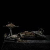 Holy Scum - All We Have Is Never LP