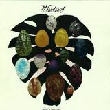 Windsurf - Bird Of Paradise,