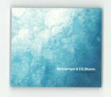 Springintgut & F.s. Blumm - The Bird And White Noise