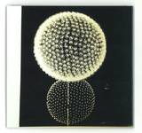 Linkwood - Expressions