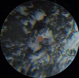 Grad_u - Space Explorations Ep