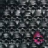 Various - Herdersmat LP 7x12"