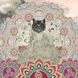 Gypsy Mamba - Magnetic Syndromes