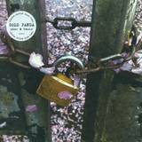 Gold Panda - Snow & Taxis