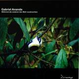 Gabriel Ananda - Während Die Anderen