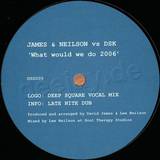 James & Neilson - What Would We Do 2006