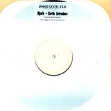 Bjork - Earth Intruders