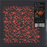 Peter Zinovieff & Lucy Railton - RFG Inventions for Cello and Computer