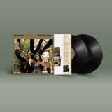 BELLE AND SEBASTIAN - WHAT TO LOOK FOR IN SUMMER