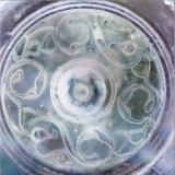 Ura - Baby With A Halo LP