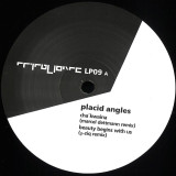 Placid Angles - Touch The Earth Remixes