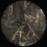 Viiks, Destroy Computers - Human Disgrace EP