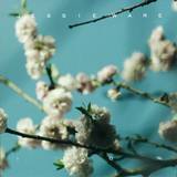 Jessie Ware - 110%