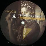 David Fjörgenson & Mia Kaltes - Elegance Is Destroyed